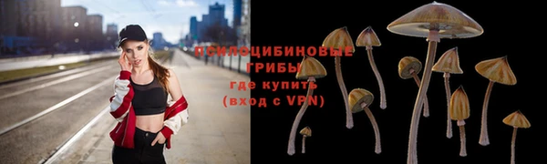 не бодяженный Козельск